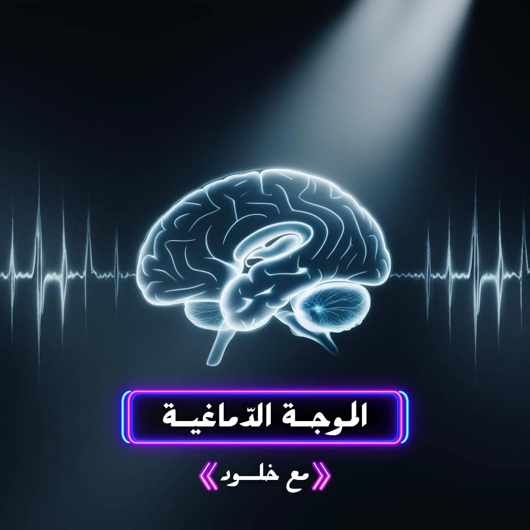 الموجات الدماغية ليلة توضيحية الموجات الدماغية ليلة توضيحية